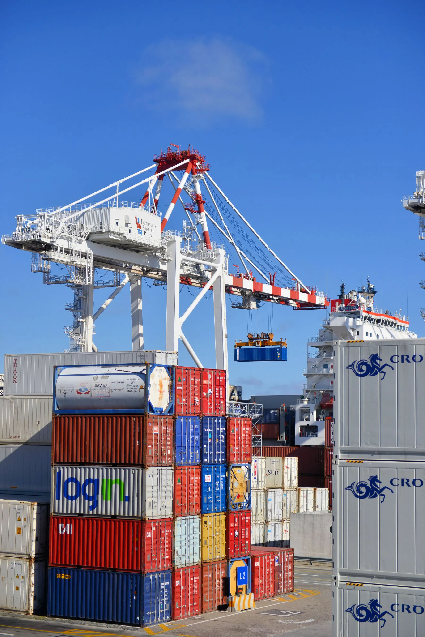 Real international freight terminal with shipping containers and port cranes